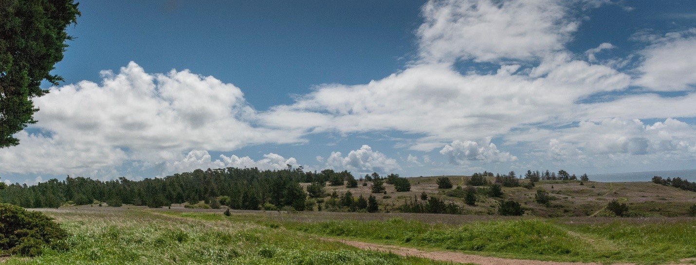 view of grassland, hills, clouds